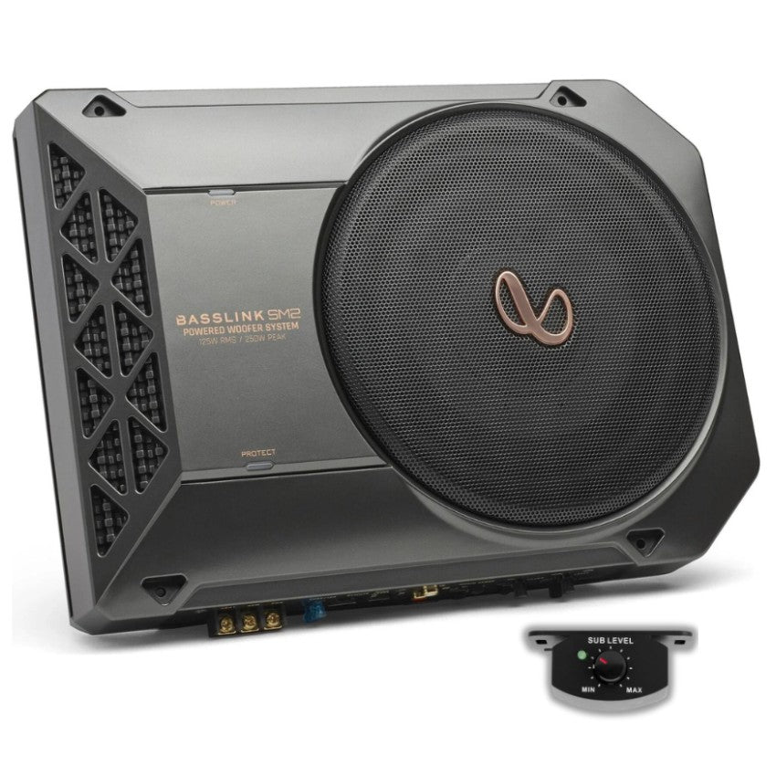 Infinity BassLink SM2