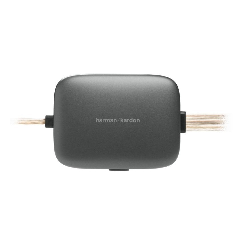 Harman Kardon Flow 600CF