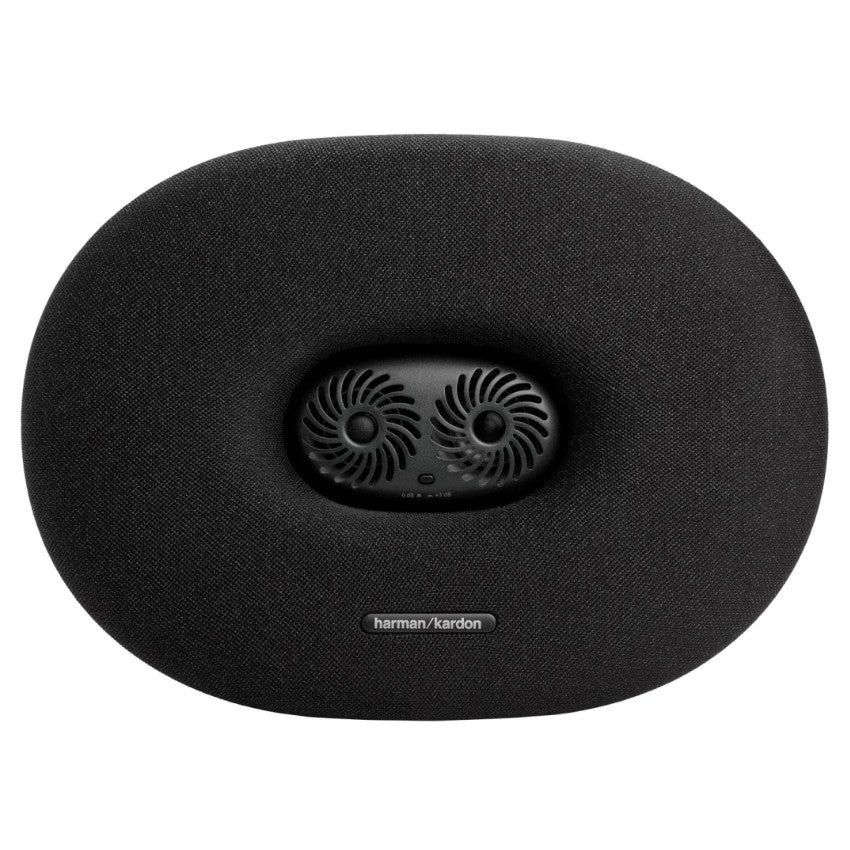 Harman Kardon FIT 96M