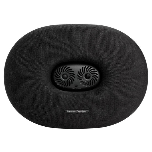 Harman Kardon FIT 96M