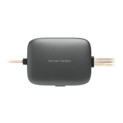 Harman Kardon Flow 600CF